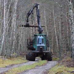 forestry equipment utilizing DIN3015 clamps by The Clamp Company